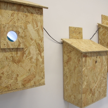 Three bird boxes installed in the exhibition which accompanied the In Search Of Darkness (Lumen) residency at Grizedale Visitor Centre Project Space, Lake District, Sept 2018. Copyright Anthony Carr